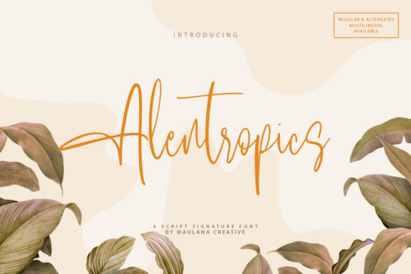 Alentropics: A Font That Elevates Your Brand