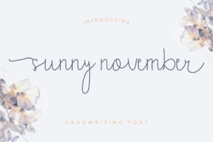 Sunny November Font for Web Design